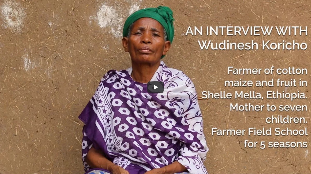Meet one of our sustainable cotton heroes - Wudinesh Koricho