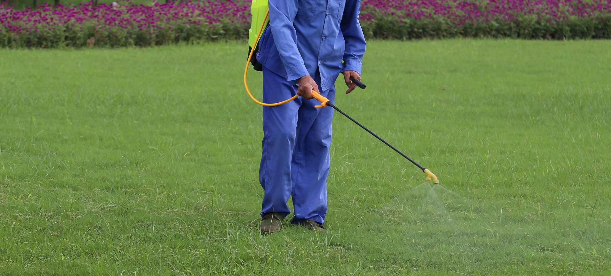 Pesticides are sprayed on our urban green spaces Pesticides are sprayed on our urban green spaces