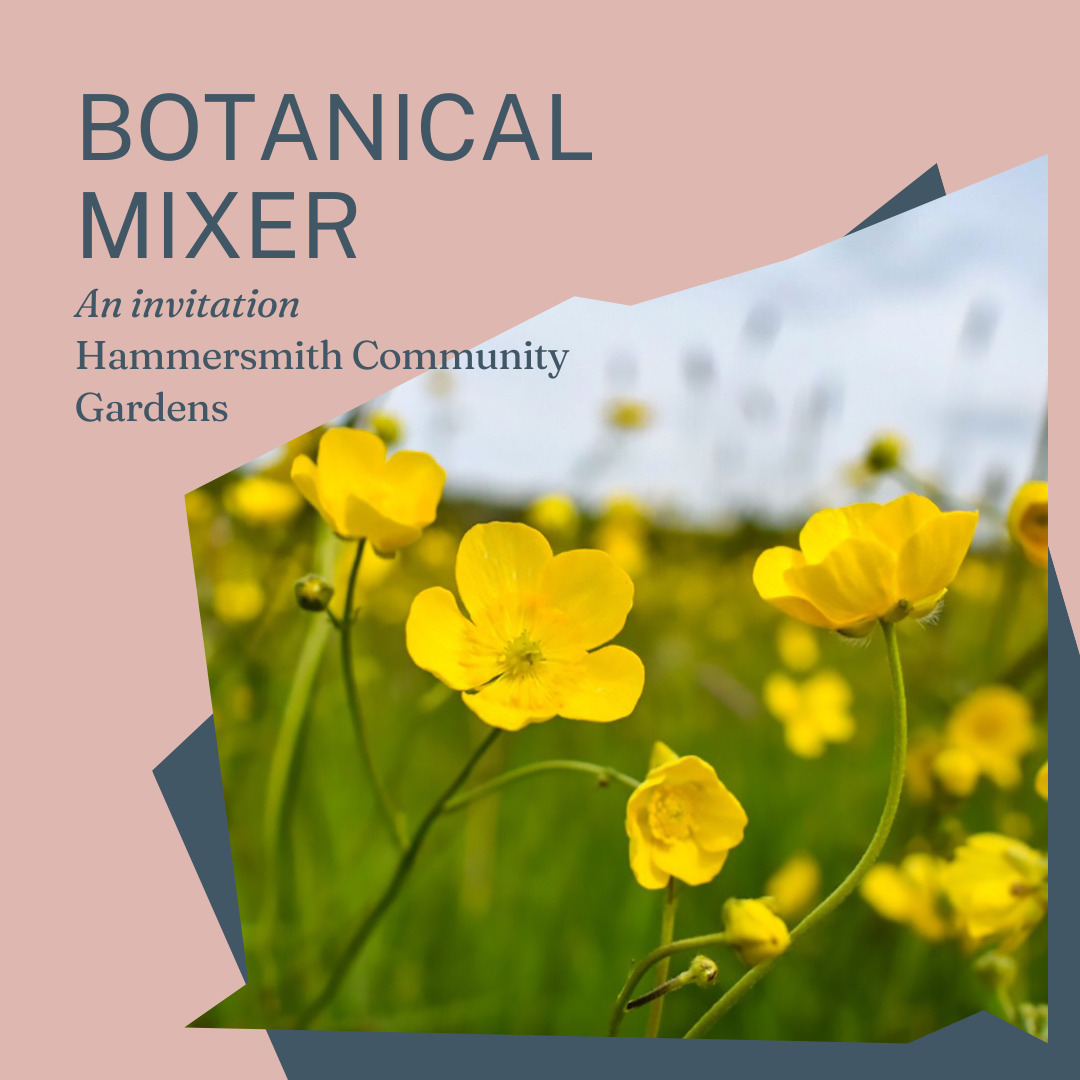 Botanical Mixer at Phoenix Farm