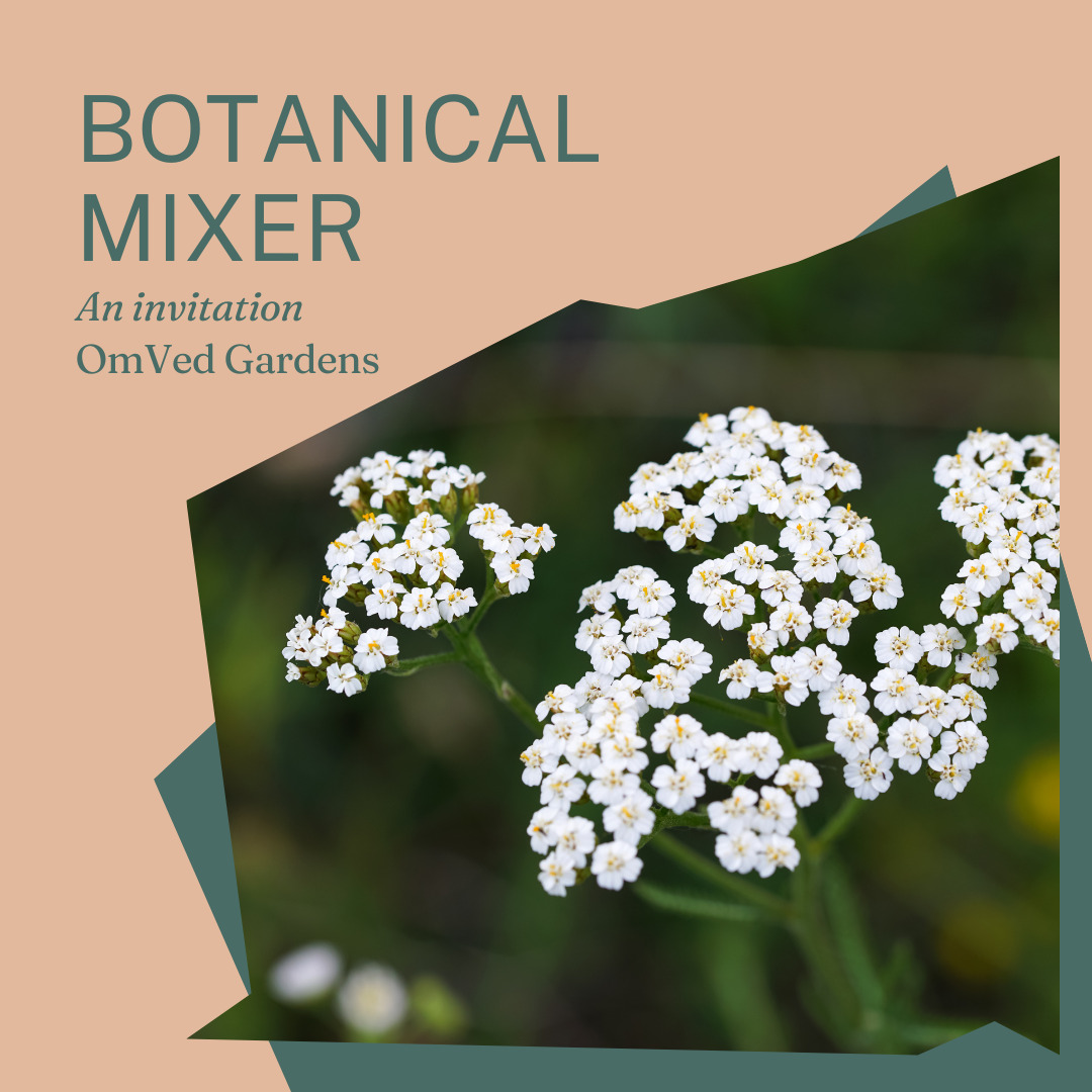 Botanical Mixer at OmVed Gardens