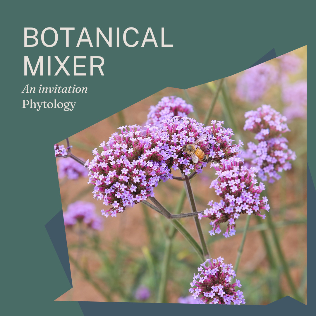 Botanical Mixer at Phytology