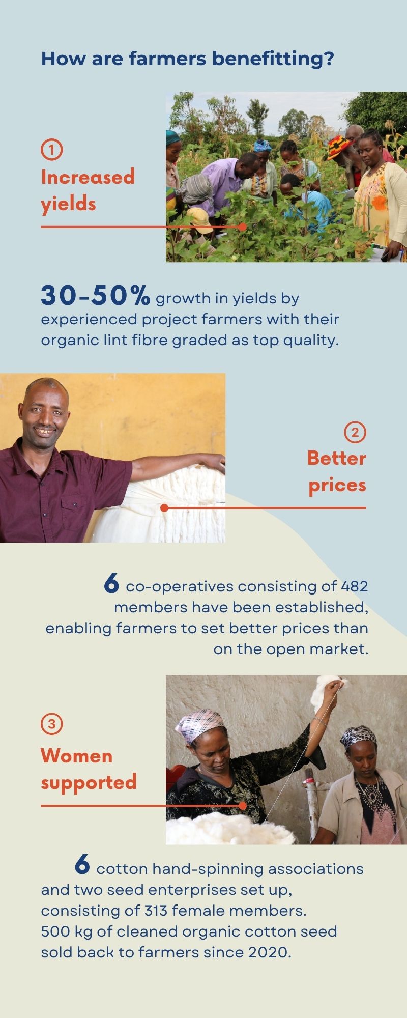 Celebrating 10 years of growing organic and agroecological cotton in Ethiopia