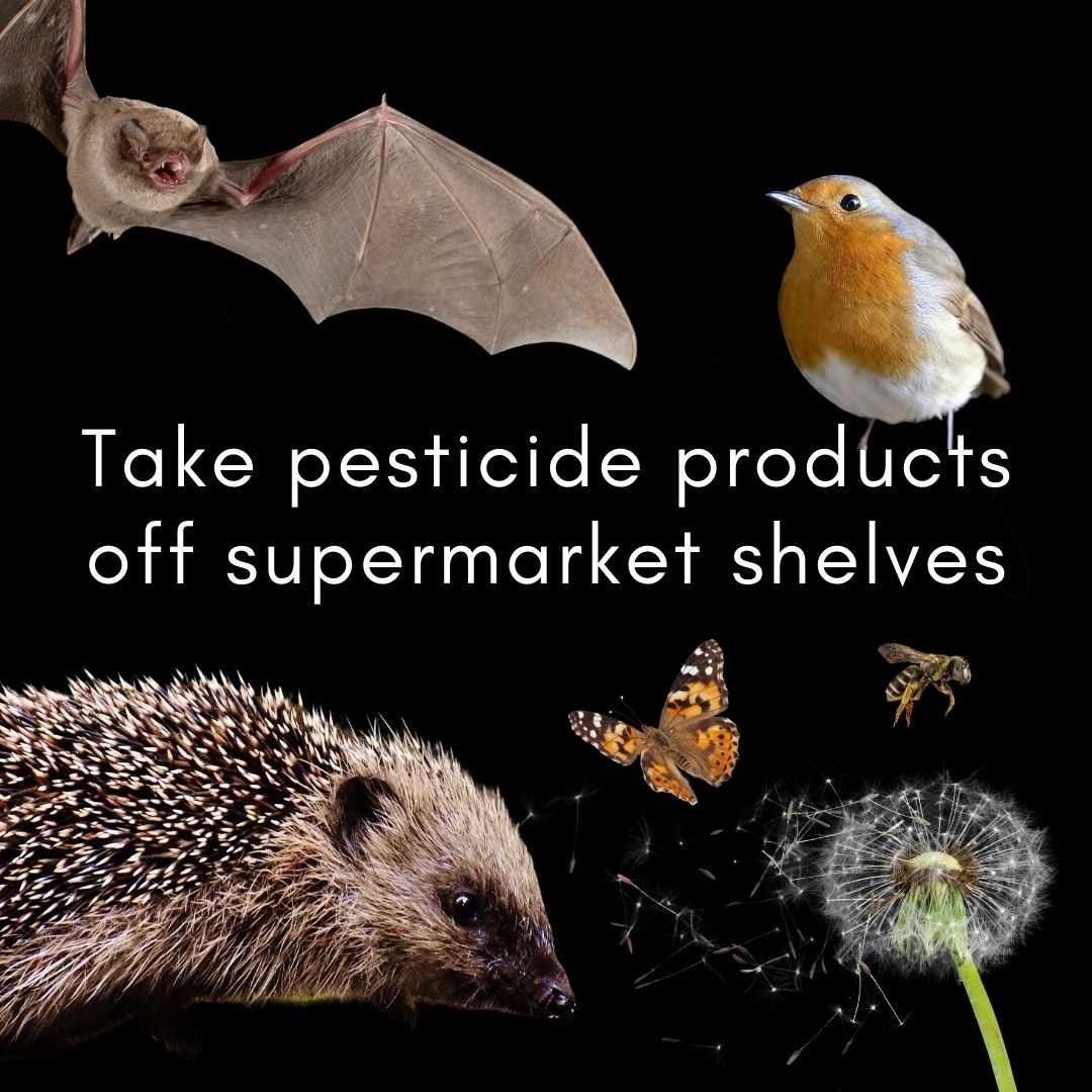 Ask supermarkets to take pesticide products off their shelves