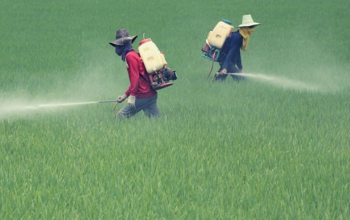 44% of farmers poisoned by pesticides globally each year