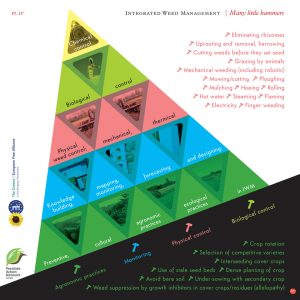 Alternatives to glyphosate in weed management