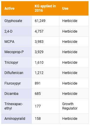 Amenity Survey Results