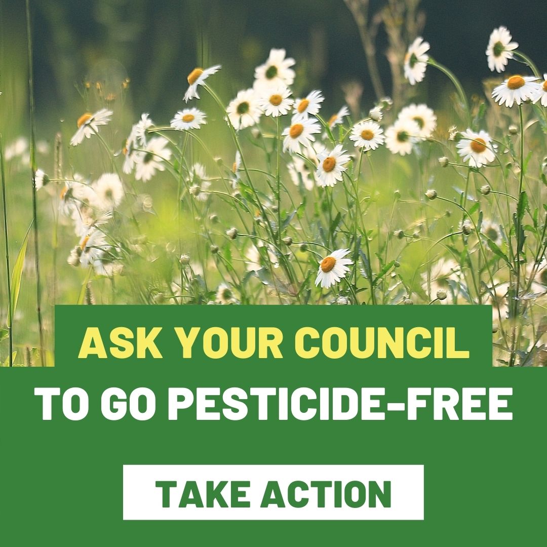Ask your council to go pesticide-free