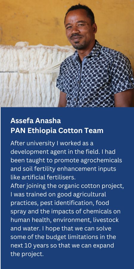 Assefa Anasma - PAN Ethiopia Cotton Team