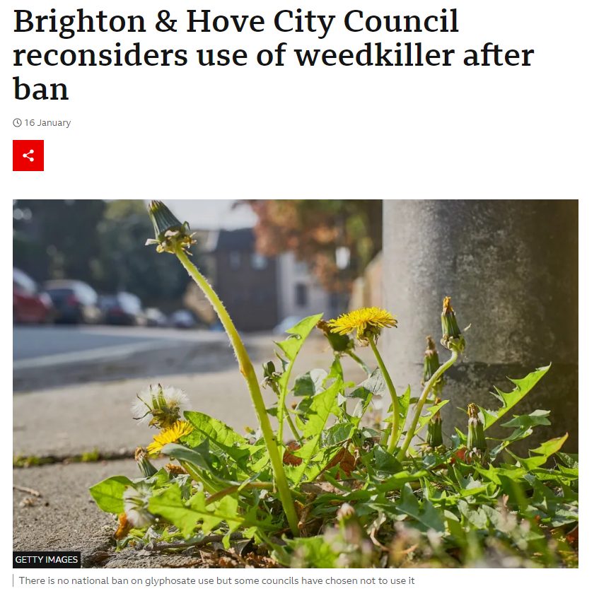 BBC: Brighton & Hove City Council reconsiders use of weedkiller after ban