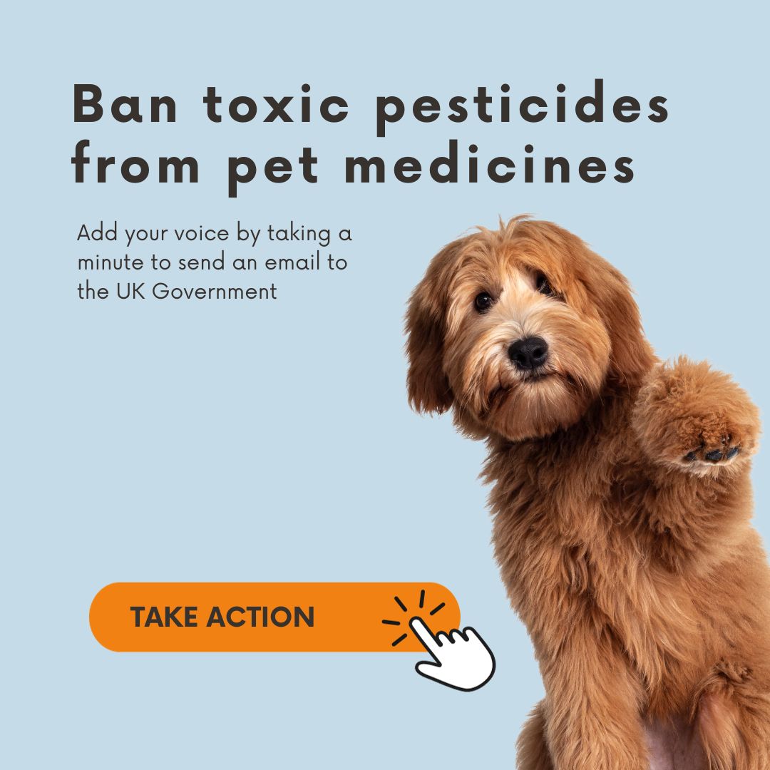 Ban toxic pesticides from pet medicines