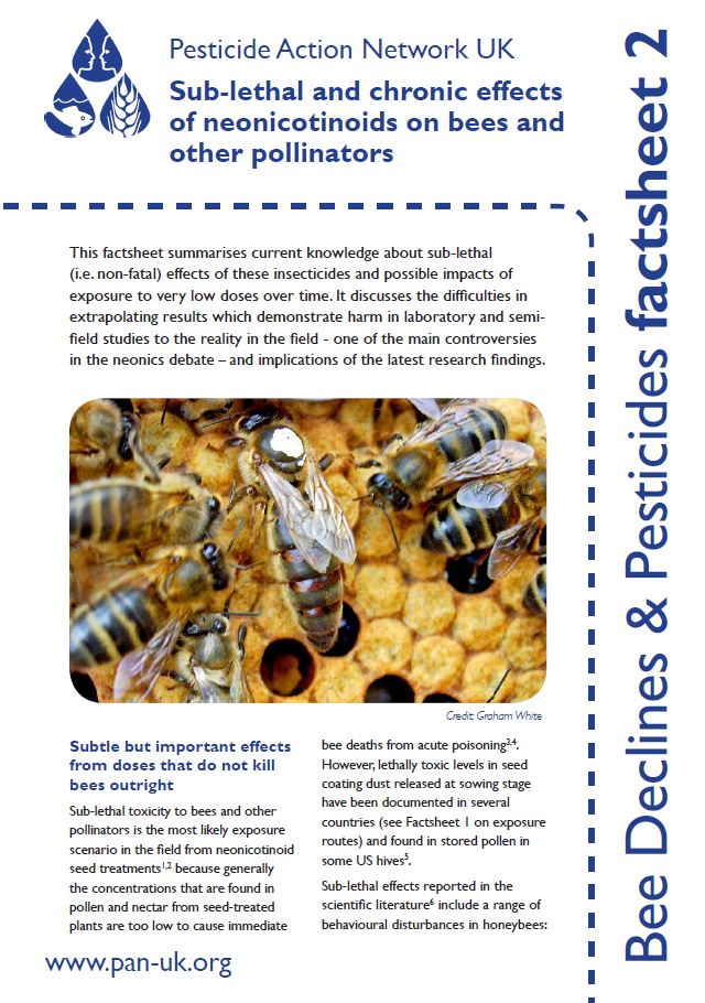 Bee Factsheet 2