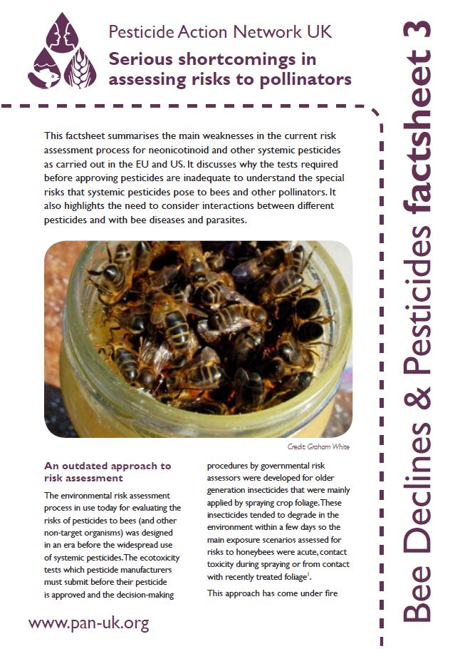 Bee Factsheet 3