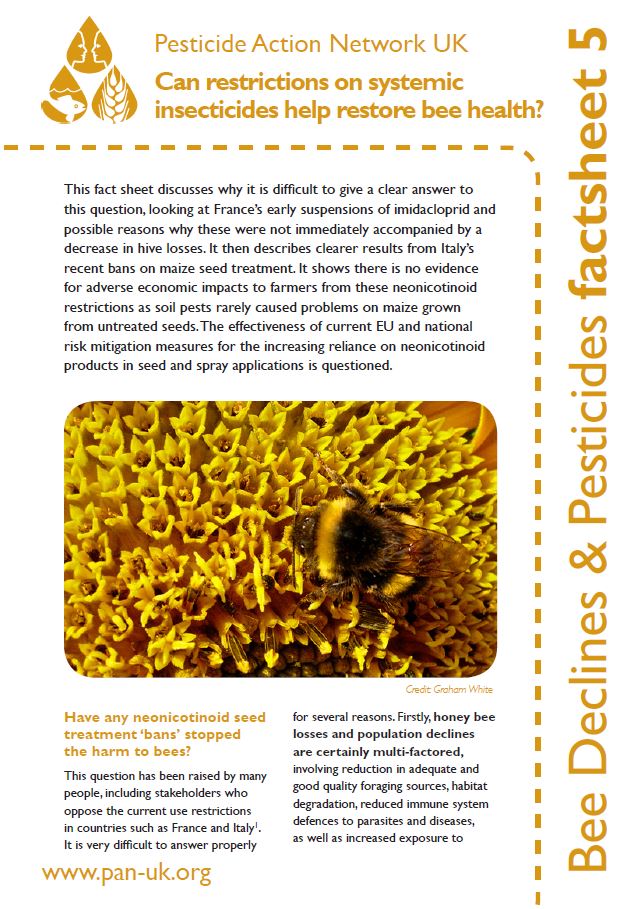 Bee Factsheet 5