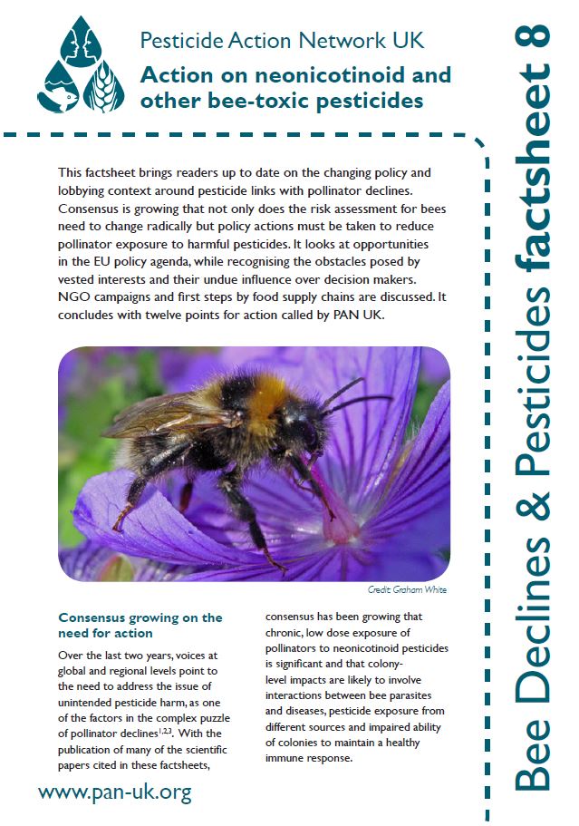 Bee Factsheet 8