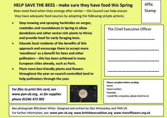 Back of bees need dandelions postcard