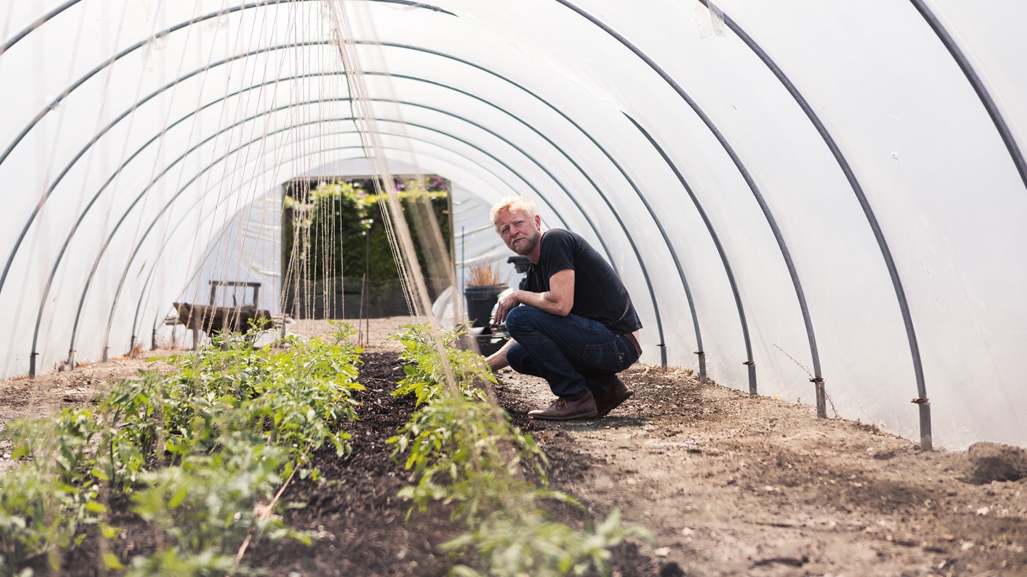 Ben is growing pesticide-free vegetables at Tillingham