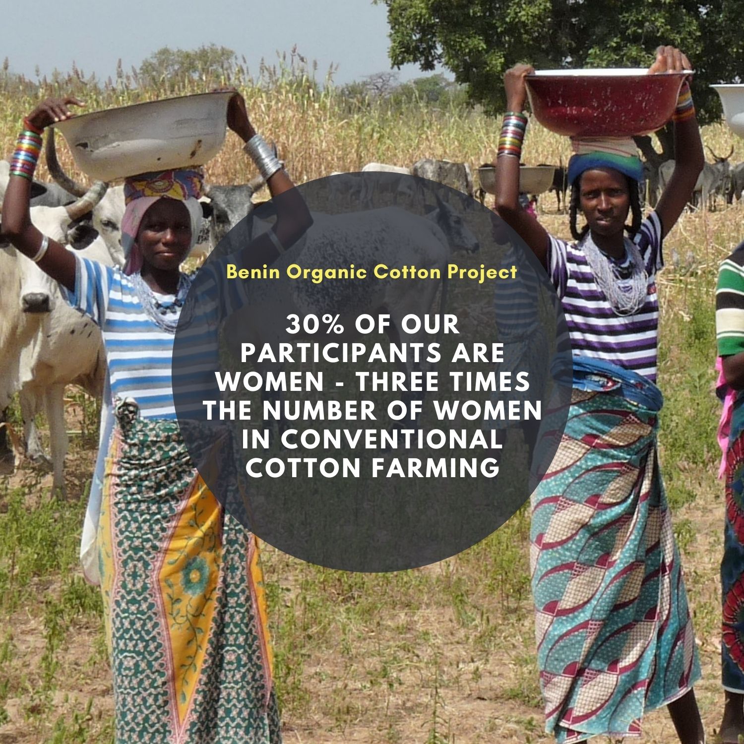 30% of the farmers on our cotton projects in Benin are women