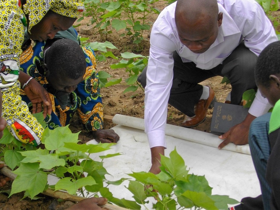 Benin - 5013 farmers trained