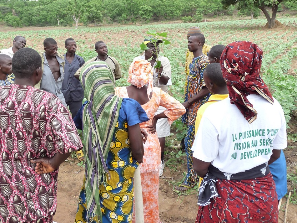 1,540 female farmers involved in our organic cotton project in Benin