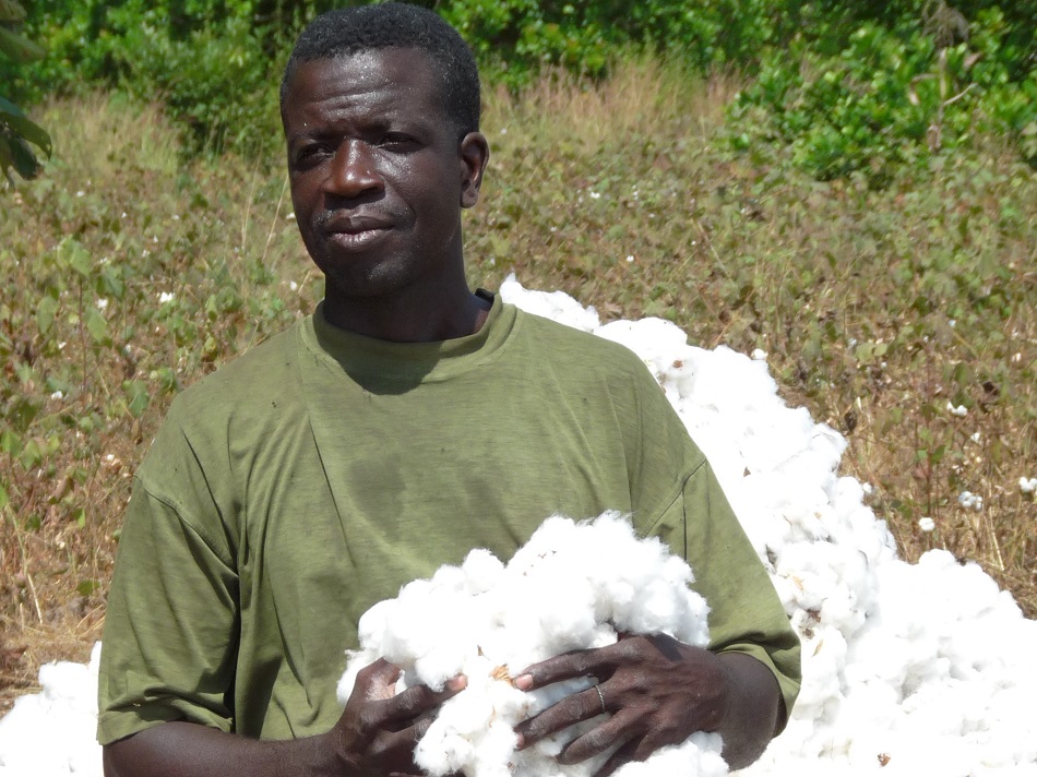 16% yield increase in our organic cotton project in Benin