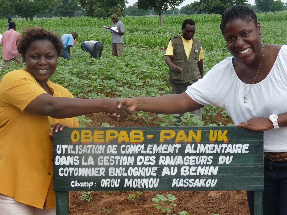 Benin – our work in cotton Empowering cotton farmers in Benin