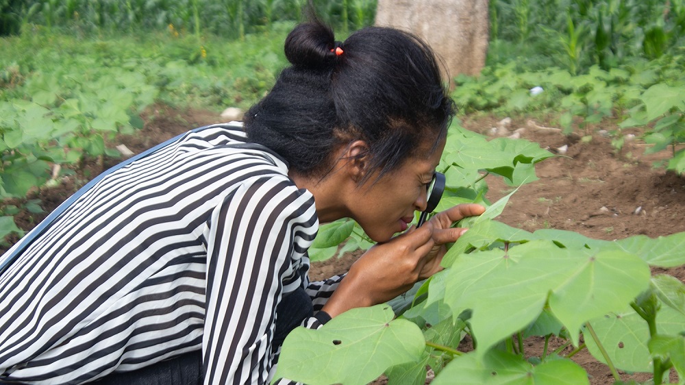 A hero in sustainable cotton – Betelhem Adane