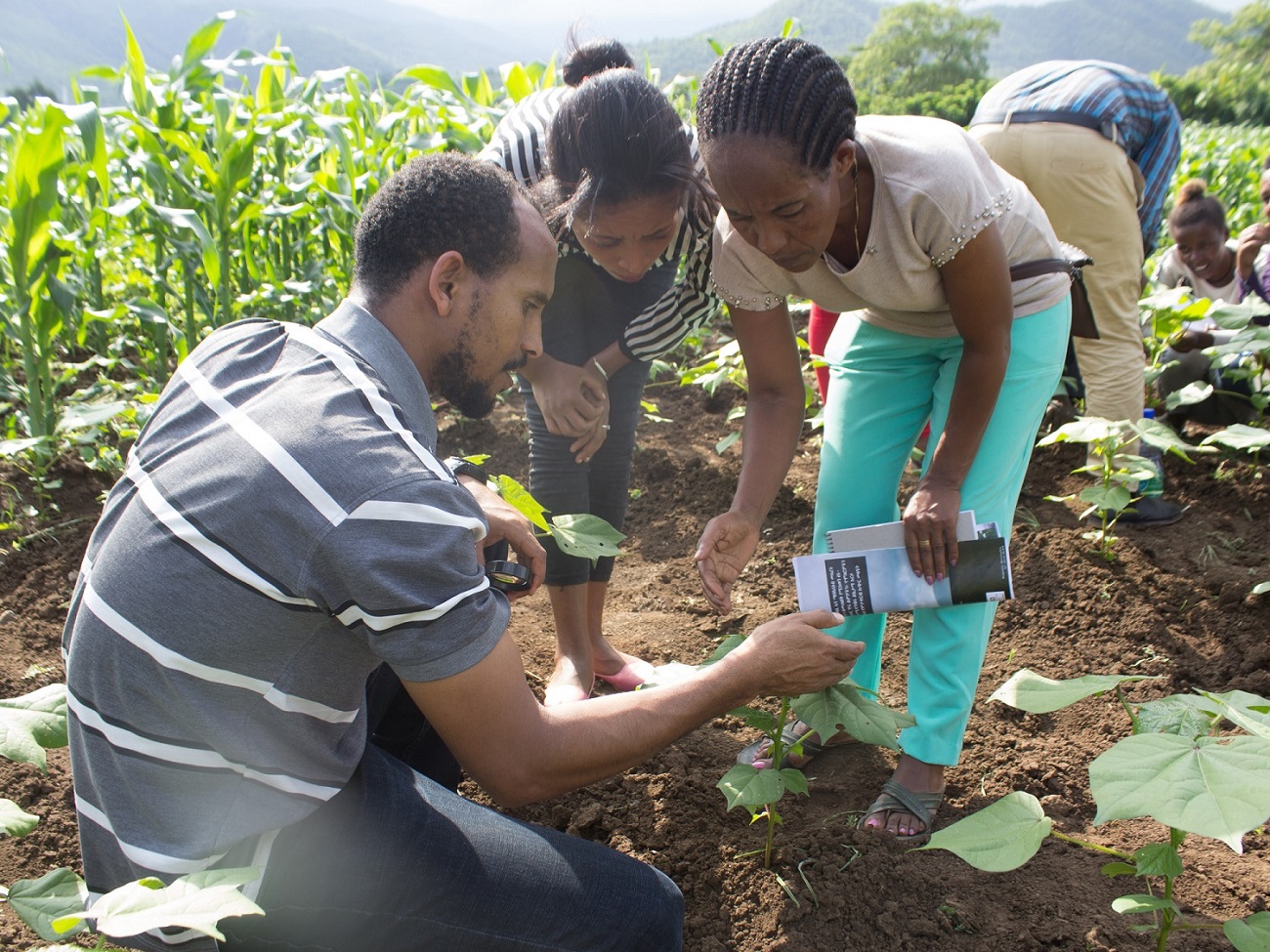 A hero in sustainable cotton – Betelhem Adane A hero in sustainable cotton – Betelhem Adane