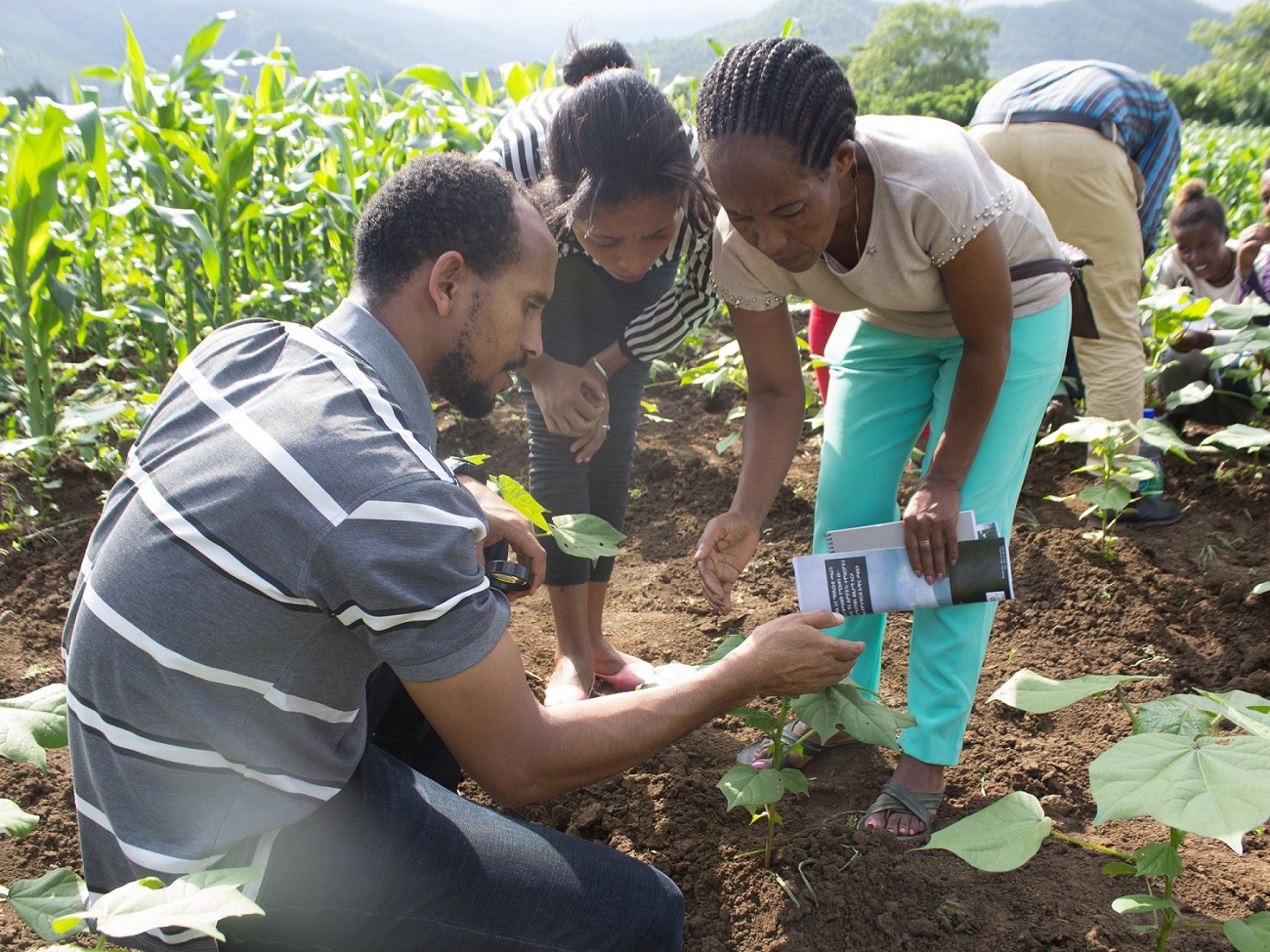 A hero in sustainable cotton – Betelhem Adane