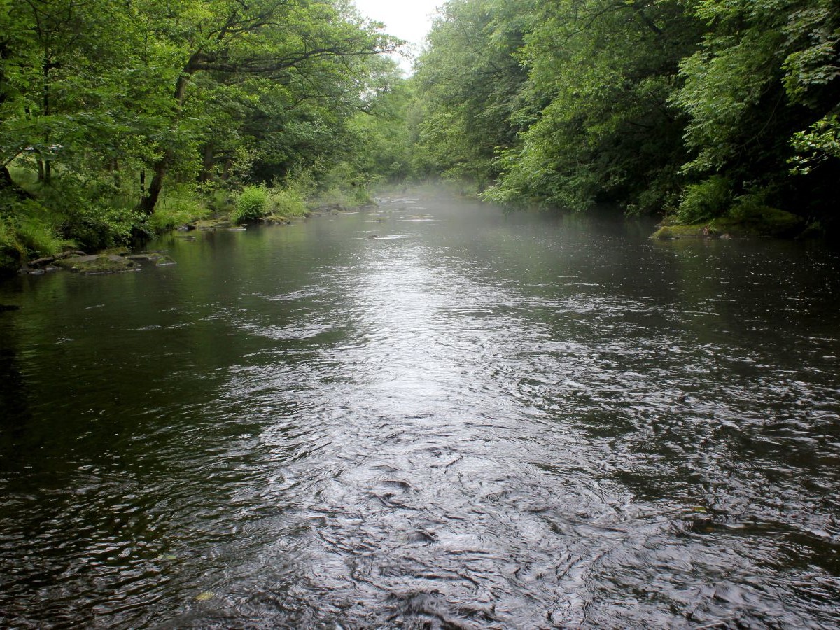 British river in the summer. Credit Linh Moran Photography for Getty Images / Canva.Com