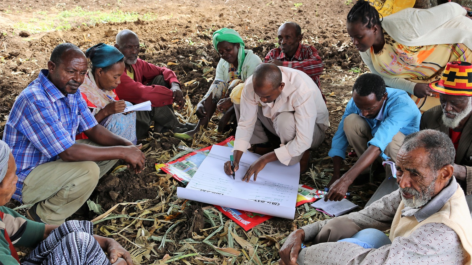 Farmer field schools help farmers to become the first certified organic cotton farmers in Ethiopia