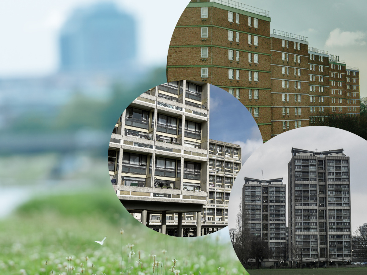 Calling for greener, pesticide-free social housing