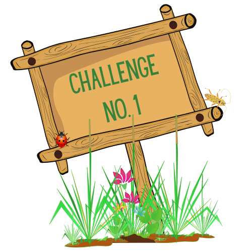 Pesticide-Free Challenge Number 1 for Kids