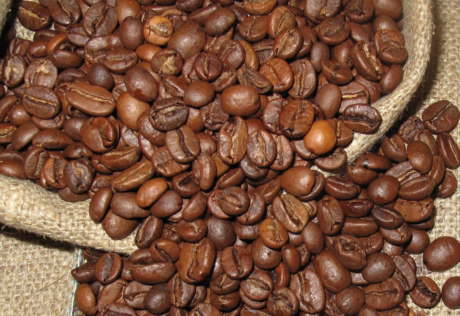 Coffee beans Honduras