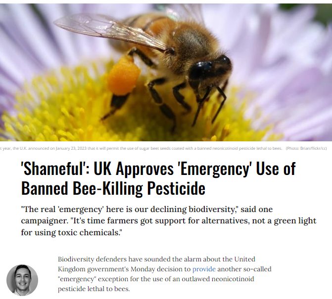 Common Dreams: UK Approves 'Emergency' Use of Banned Bee-Killing Pesticide