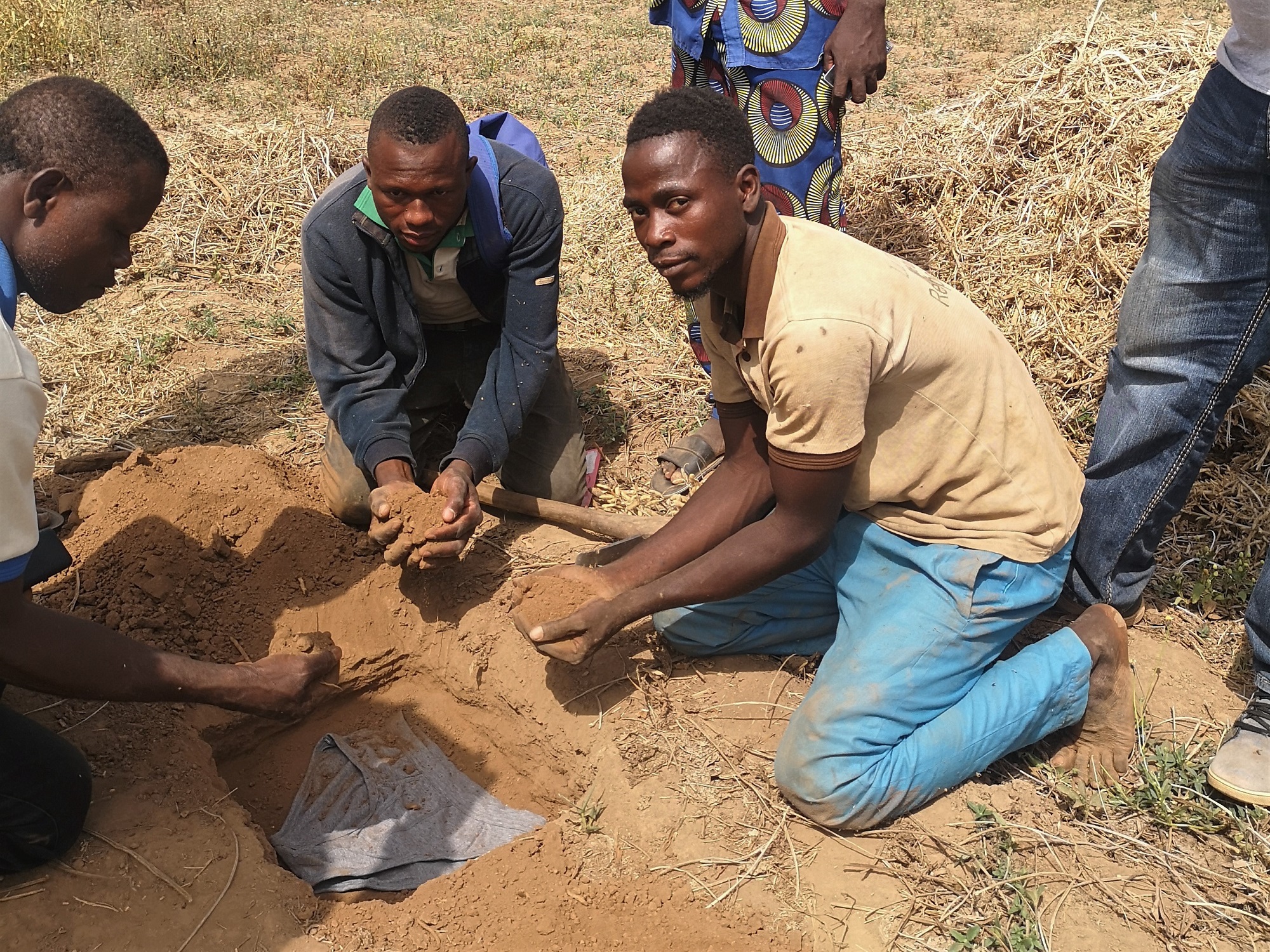 OBEPAB farmers burying cotton underwear to assess their soil health using the ‘soil your undies’ method. Credit PAN UK.
