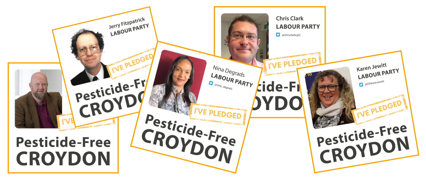 Croydon council ends use of glyphosate in parks and green spaces
