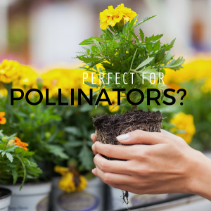 pesticides goulson