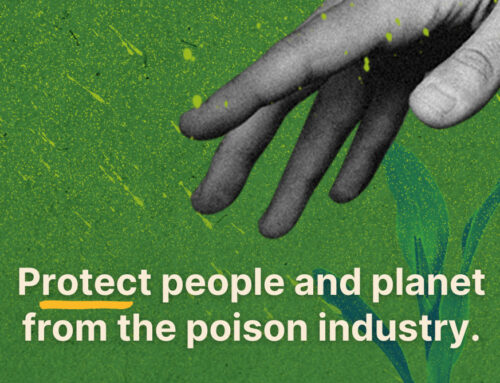 Call for United Nations to end partnership with pesticide industry