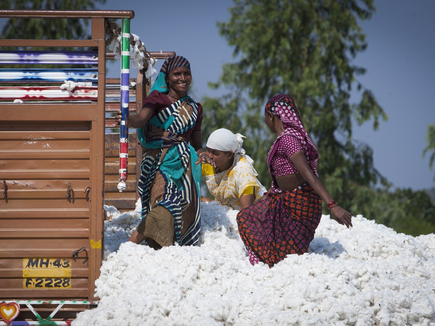 Farm workers loading cotton onto a truck. Credit Solidaridad.