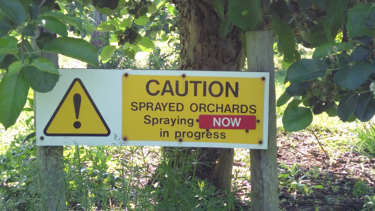 Farmer in Kent spraying field - credit PAN UK