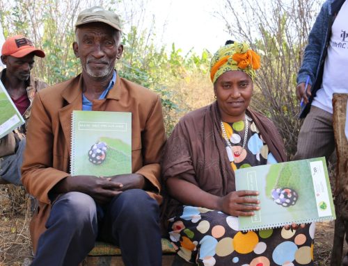 The climate emergency is devastating Ethiopian farmers