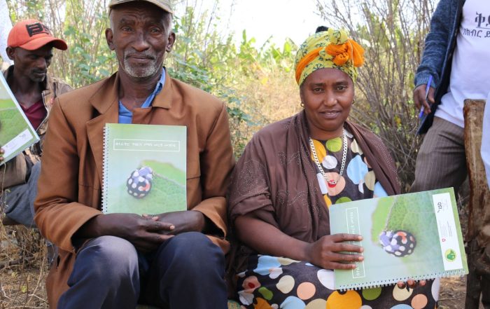 Farmers at Farmer Field School with insect guide