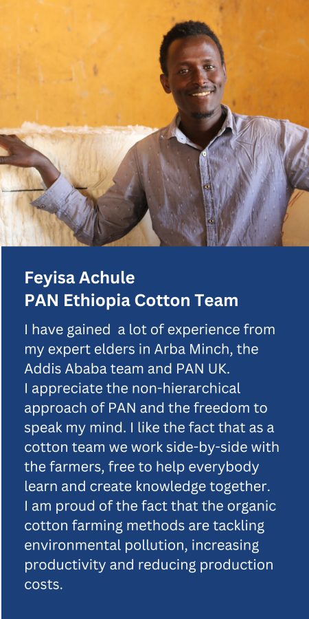 Feyisa Achule - PAN Ethiopia Cotton Team