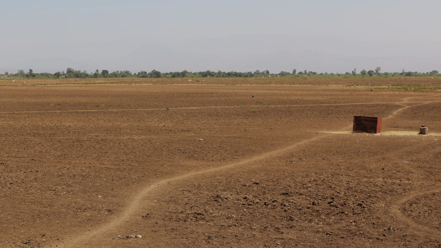 Fields at Shelle Melle having experienced flooding from Lake Chamo and then two years of drought