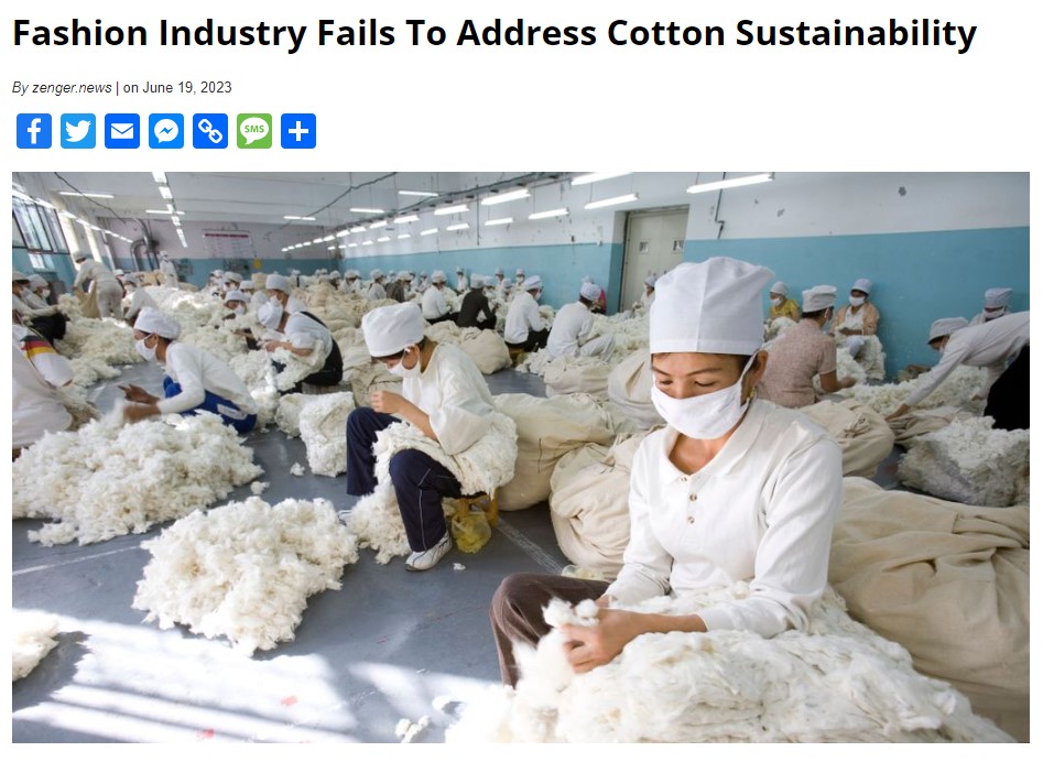 Florida & Georgia Star: Fashion industry fails to address cotton sustainability
