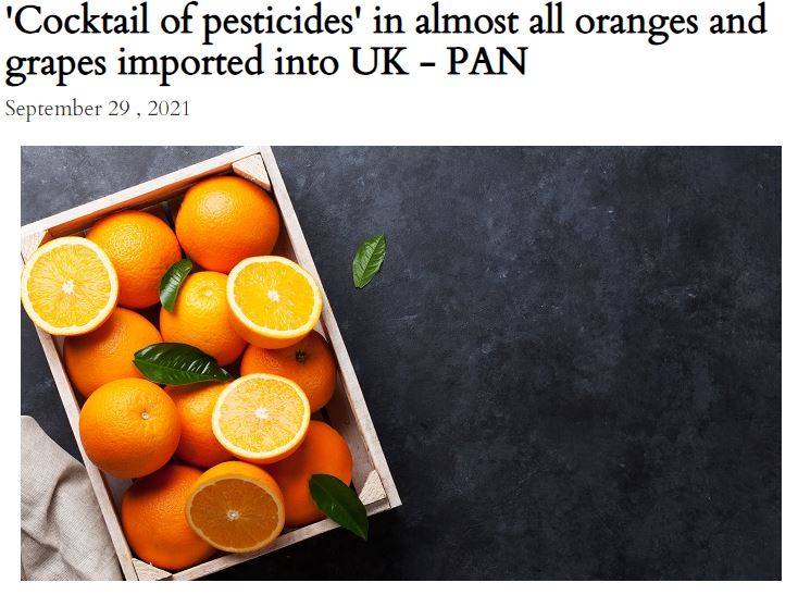Fresh Fruit Portal - 'Cocktail of pesticides' in almost all oranges and grapes imported into UK