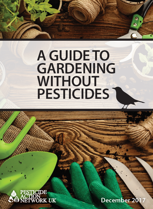 A guide to gardening without pesticides