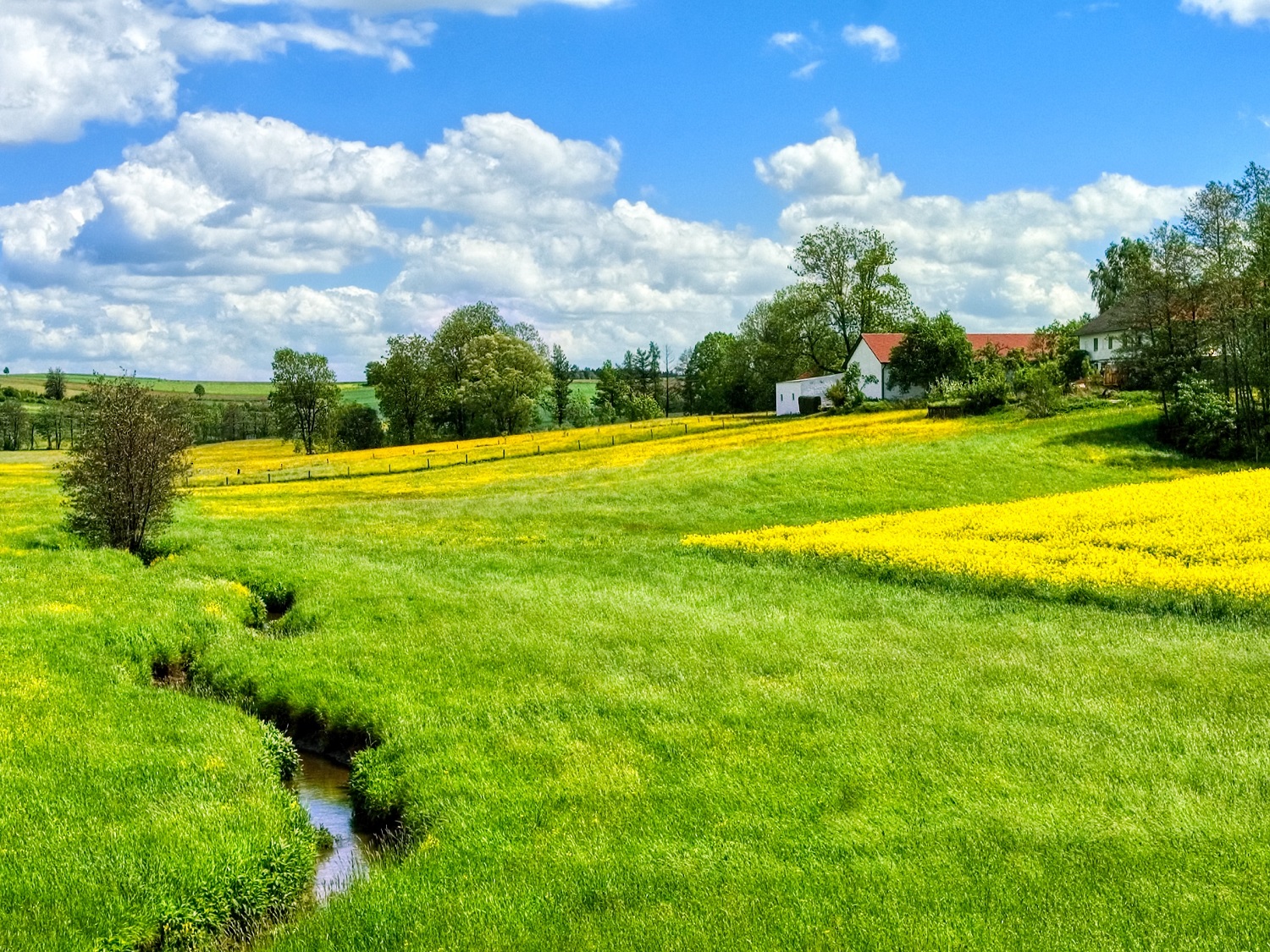 German countryside landscape with stream. 
