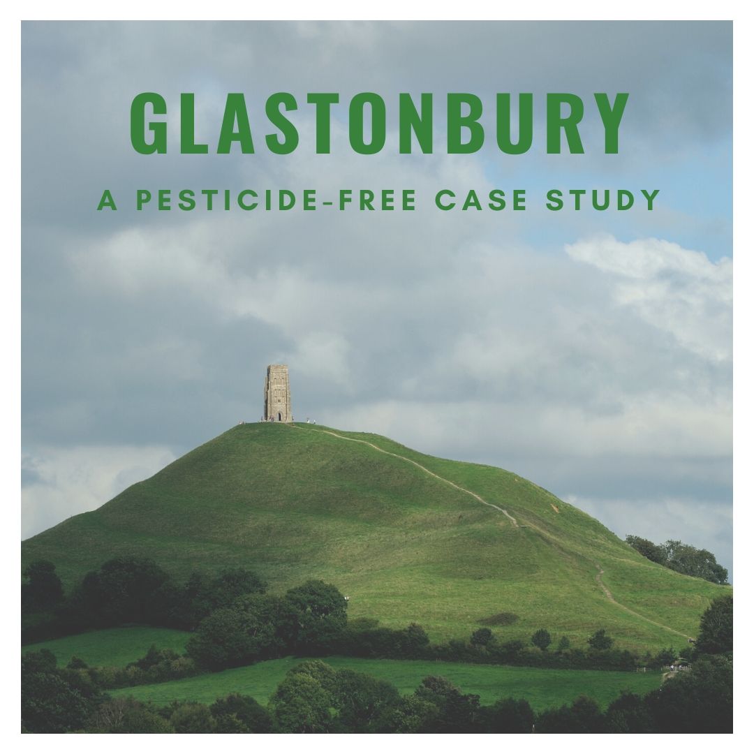 Glastonbury: A pesticide-free case study