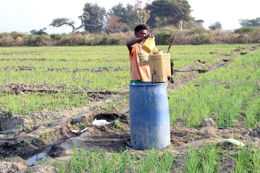 The costs of pesticides